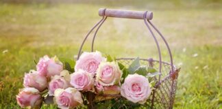 Ile koszy na 6 osób?