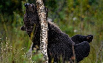 Jak pozbyć się swędzenia warg sromowych? Jak pozbyć się swędzenia warg sromowych?