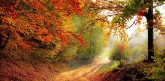 Kiedy spadek wagi jest niepokojący?