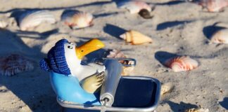 Gdzie wyrzucić puszkę po coli?