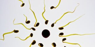 Czy plemniki mogą przeżyć w prezerwatywie?