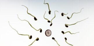 Co się dzieje ze spermą w prezerwatywie?