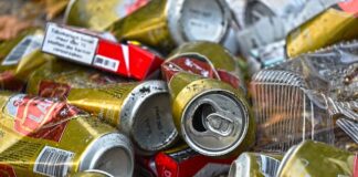 Jak zabezpieczyć się przed pluskwami by nie weszły do mieszkania?