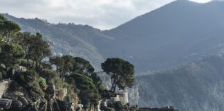 Ile kosztuje śmietnik?