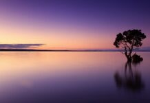 Ile wody na 1 litr spirytusu? Ile wody na 1 litr spirytusu?