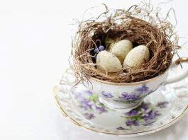 Gdzie wyrzucać Fiołki po lekach?