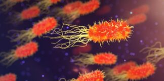 Co się dzieje z organizmem po pierwszym razie?