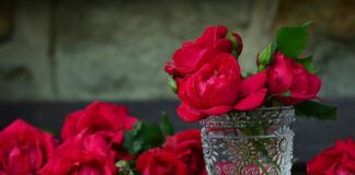 Gdzie kupić pojemnik na odpady?