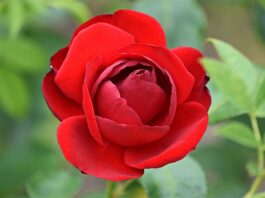 Jak rozbudzić namiętność u męża?